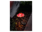 Lampe solaire en forme de champignon rouge dans un jardin.