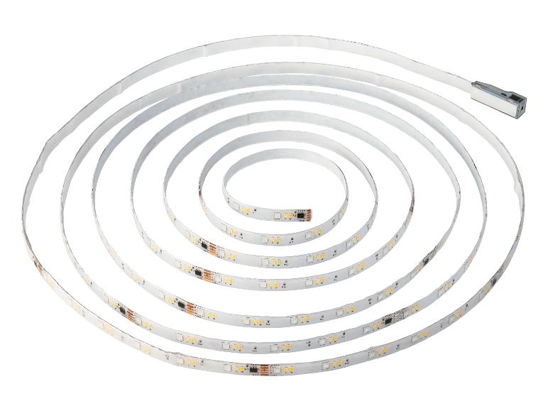 Bande LED enroulée avec diodes blanc chaud et blanc froid, prête à être installée.