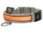Collier pour chien gris avec bande lumineuse orange et bouton d'alimentation