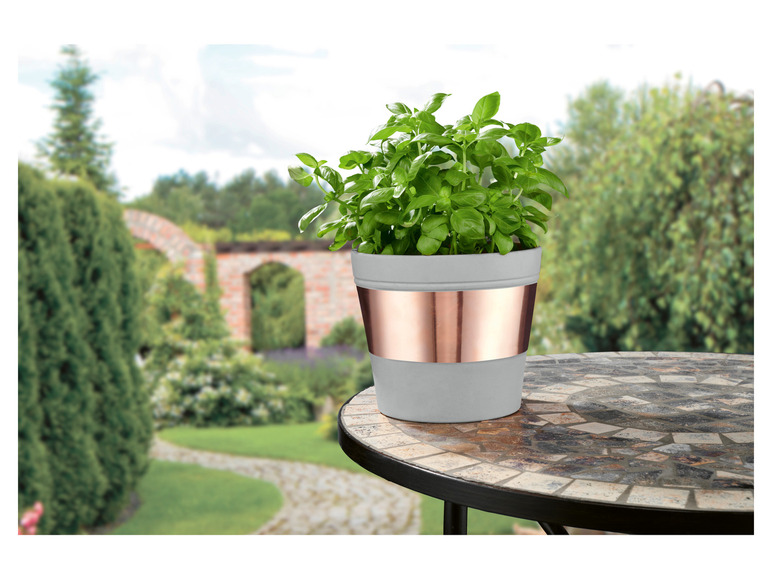 Une plante dans un pot gris avec un bord en cuivre sur une table dans un jardin.