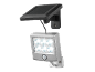 Lampe solaire LED argentée avec détecteur de mouvement