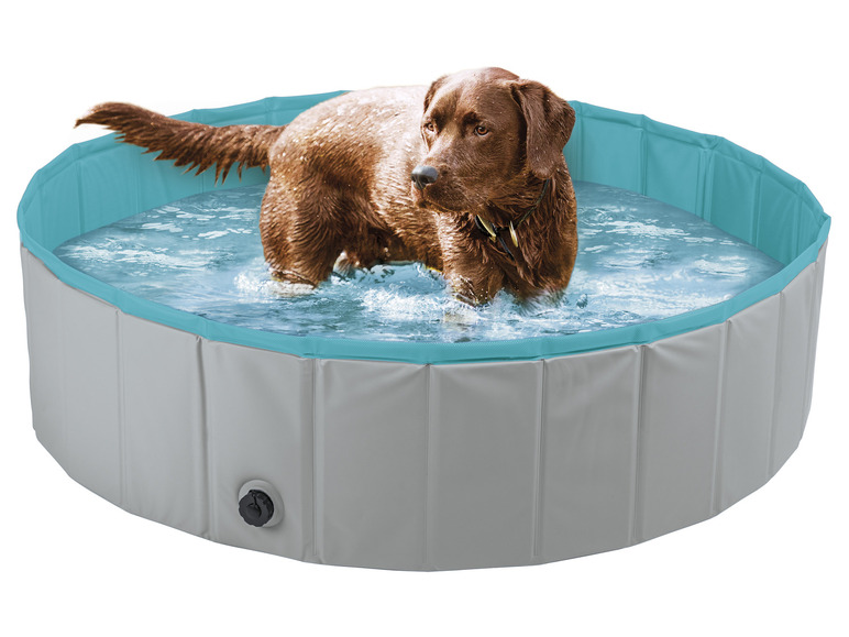 Aller en mode plein écran : zoofari® Bassin pour chiens, Ø 120 x H 30 cm - Image 2