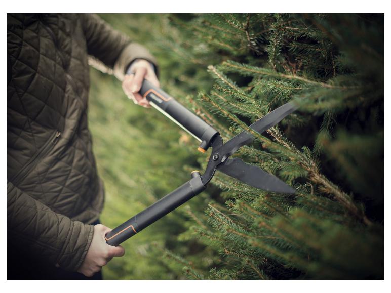Une personne utilisant un sécateur pour tailler un conifère.