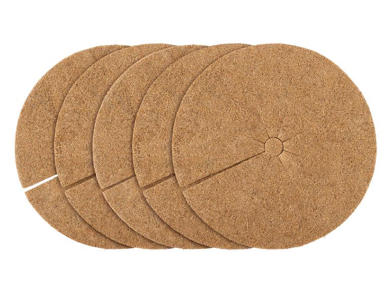 Disques ronds en fibre de coco pour plantes avec fente, empilés.