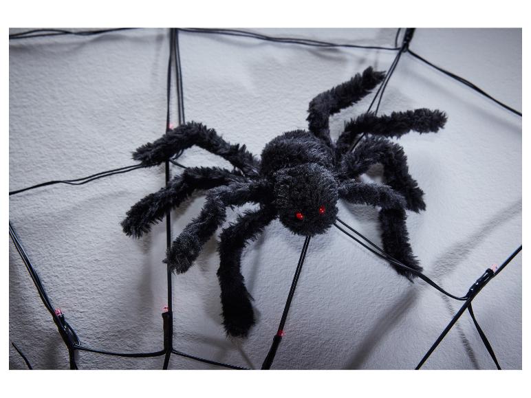 Une araignée noire et pelucheuse aux yeux rouges sur une toile d'araignée illuminée.