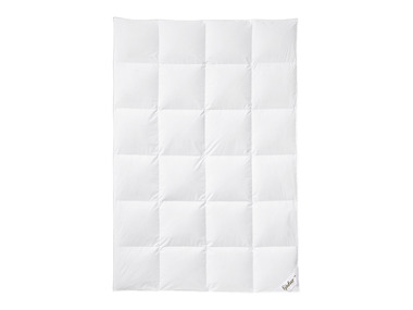 FJÖDUR Couette à cassettes en duvet d'oie, à partir de 135 x 200 cm (155 X 220 CM)