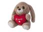 Un chien en peluche marron tenant un cœur rouge avec 'Love' dessus.