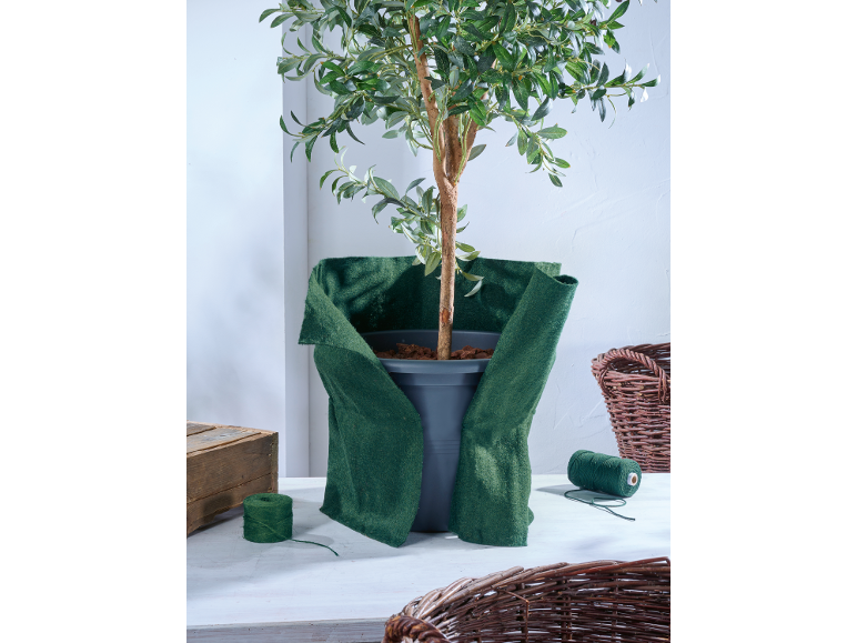 Olivier en pot, enveloppé de tissu vert, avec ficelle et paniers sur une table blanche.
