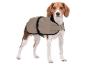 Beagle dans un manteau pour chien beige avec bordure noire