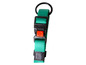 Un collier pour chien vert de Karlie avec une boucle noire.