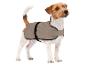 Chien Jack Russell portant un manteau pour chien beige et noir