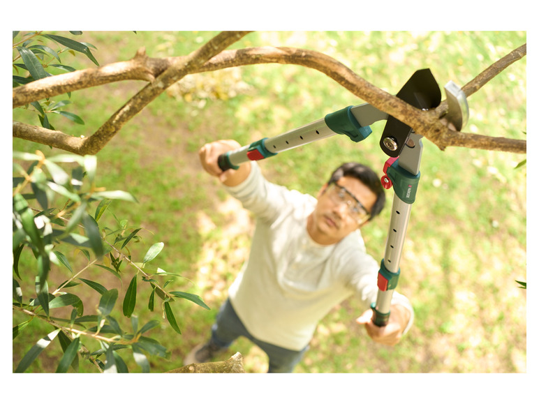 Un homme utilise une cisaille à branches télescopique Parkside pour couper des branches.