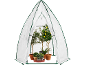 Serre portable avec diverses plantes en pot, dont un citronnier.