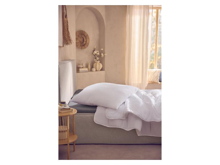 Oreiller LIVARNO® 60x60 cm et couette sur un lit dans une chambre douillette.