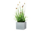 Un pot de fleurs carré gris avec de l'herbe verte