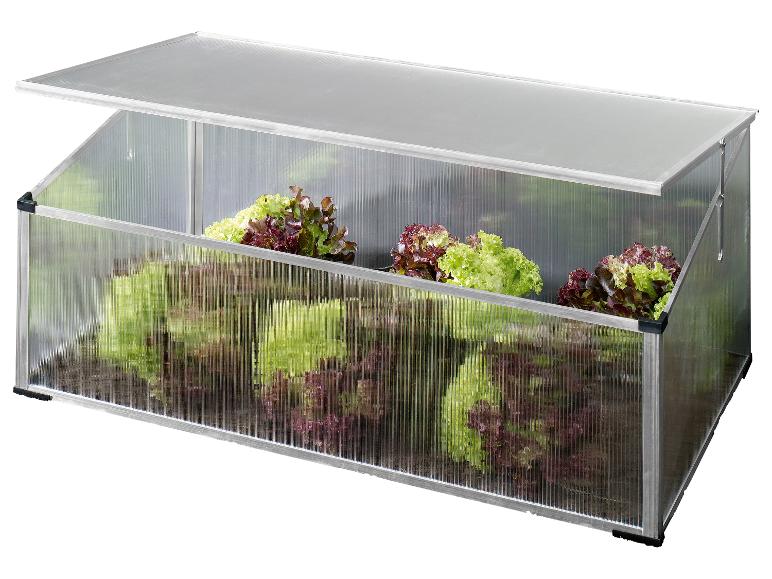 Mini-serre avec couvercle ouvert, remplie de laitue verte et rouge.