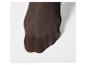 Pied en collant marron, avec les orteils visibles.