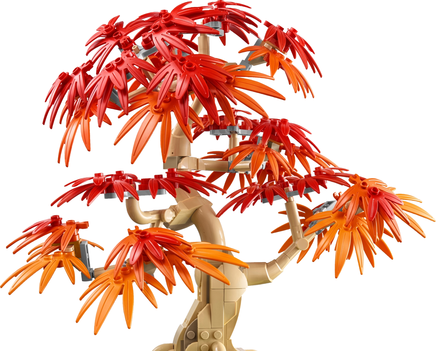 LEGO® Botanicals 10348 Bonsaï d’érable du Japon - vue 3
