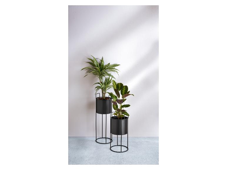 Deux supports de plantes noirs avec des plantes.