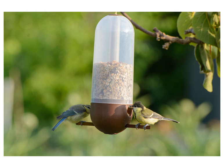 Aller en mode plein écran : dobar Distributeur de nourriture pour oiseaux - Image 4