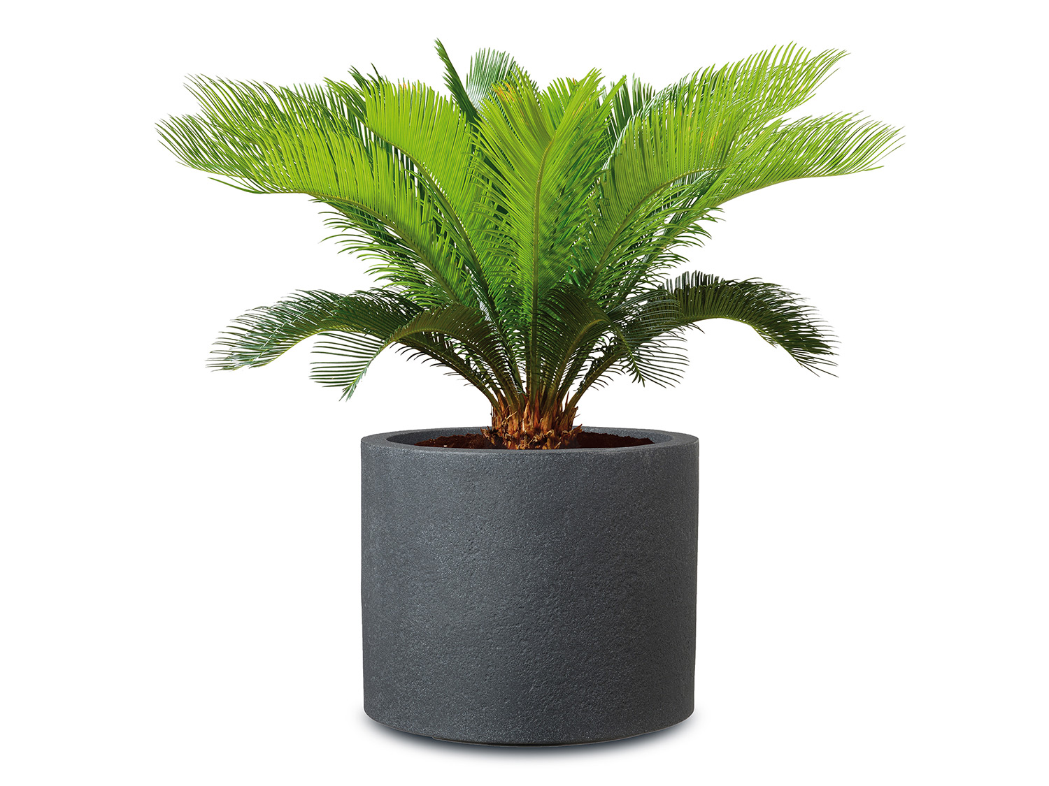 Scheurich Pot à plantes « Riva », plastique, rond (50 cm, noir granit)