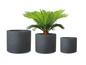 Trois pots ronds gris avec une plante.