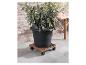Pot noir avec plante sur un support en bois roulant.