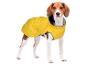 Un chien Beagle portant un imperméable jaune.
