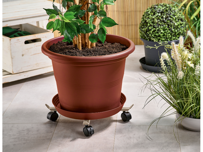 Grand pot de fleurs marron avec une plante verte sur une base à roulettes, à côté d'autres plantes en pot.