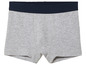 Boxer gris avec une bande bleue.