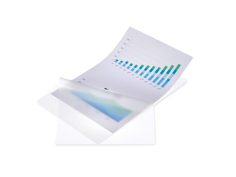 Document avec graphique et protège-documents transparents.