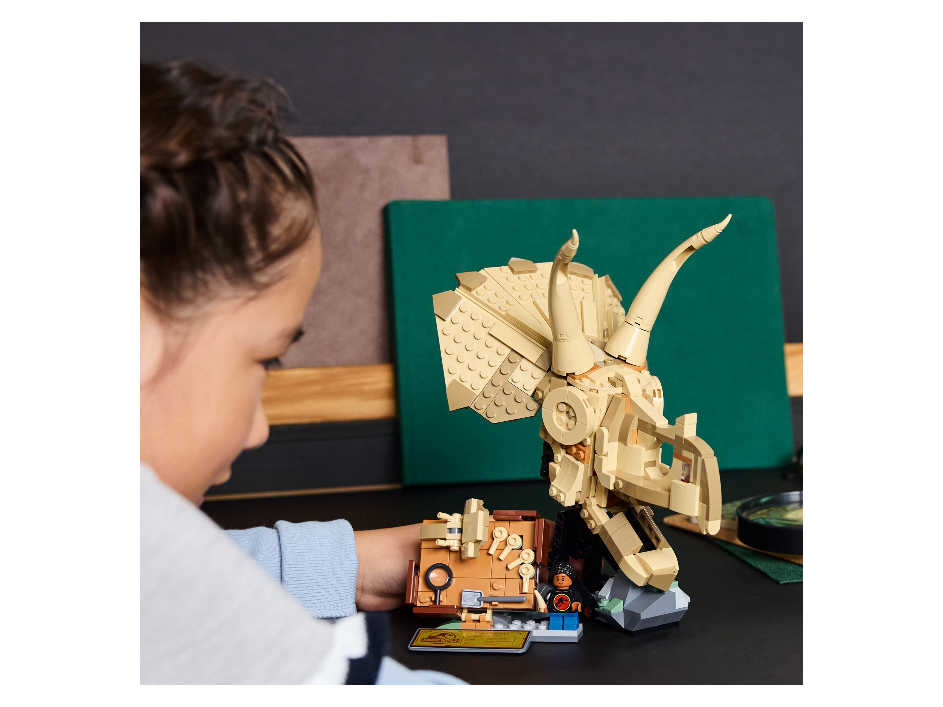 76969 LEGO® JURASSIC WORLD™ Fossiles de dinosaures : crâne de Triceratops - vue 3