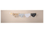 Quatre types de sous-vêtements accrochés à une corde à linge.