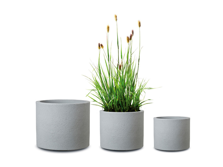 Trois pots de fleurs ronds gris avec une plante.