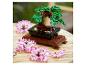 Un bonsaï LEGO avec des fleurs roses.