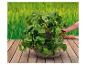 Plante de fraisiers dans un sac de culture sur une terrasse en bois.