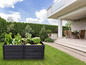 Deux bacs à légumes noirs avec des plantes dans le jardin à côté d'une maison moderne.