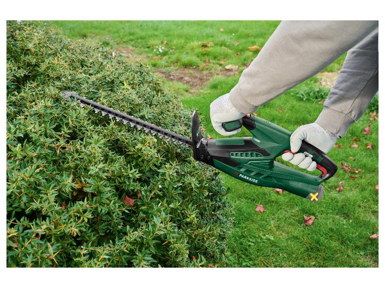 Personne taillant un buisson épineux avec un taille-haie