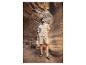 Homme en t-shirt et short beiges, sandales noires, tenant un chapeau dans un canyon.