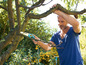 Un homme taille une branche d'arbre avec une scie.