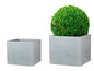Deux pots carrés gris, l'un avec une plante ronde verte.