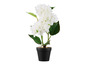 Des fleurs artificielles blanches dans un pot noir.