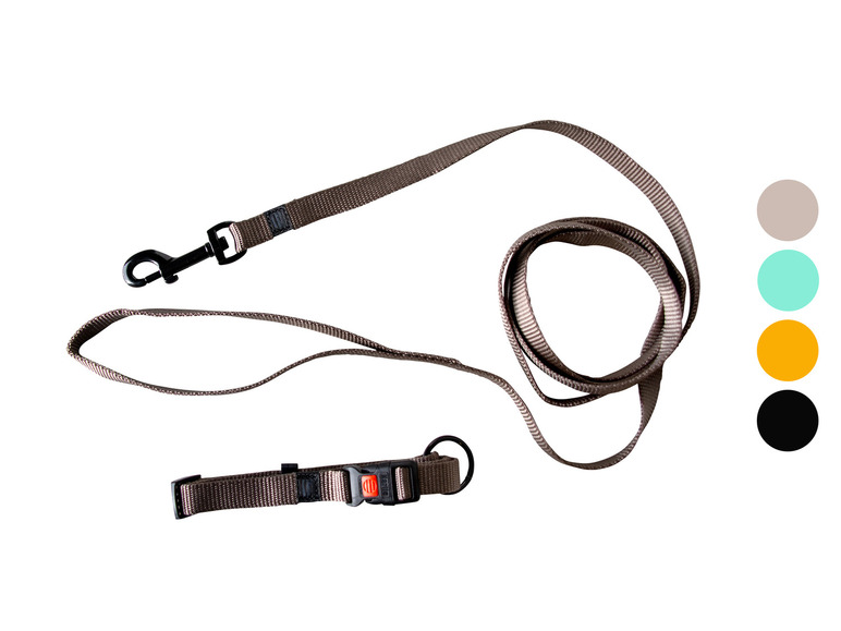 Aller en mode plein écran : Collier avec laisse - Image 1
