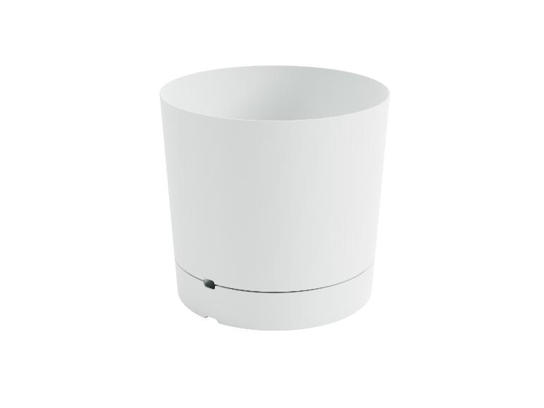 Pot de fleurs blanc moderne.