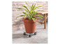 Un pot en terre cuite sur roulettes avec une plante.