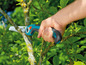 Une main utilisant une scie à élaguer bleue et noire pour couper une branche.
