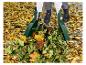 Deux pelles à feuilles vertes ramassant des feuilles mortes et des déchets de jardin.