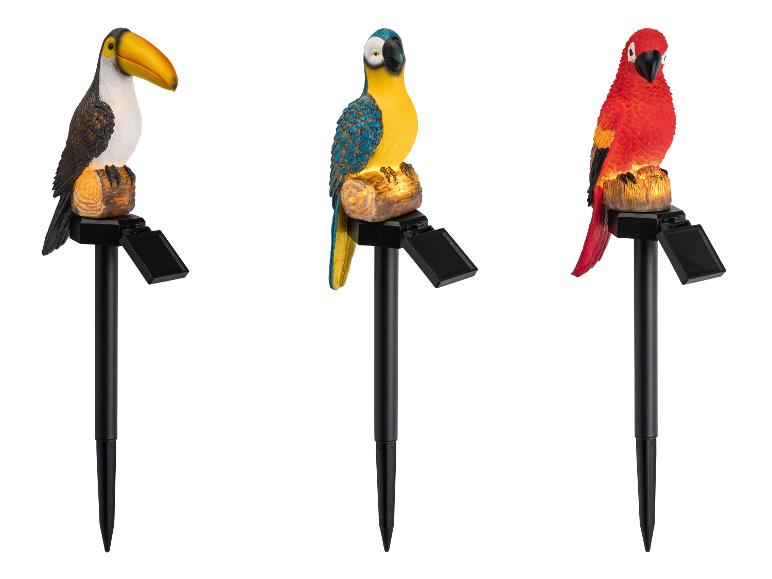 Trois lampes solaires de jardin représentant un toucan, un ara bleu et un perroquet rouge.