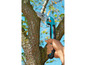 Une main utilisant une scie bleue pour tailler une branche d'arbre.