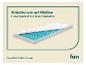 Un matelas avec une couche de mousse bleue pour plus de confort.